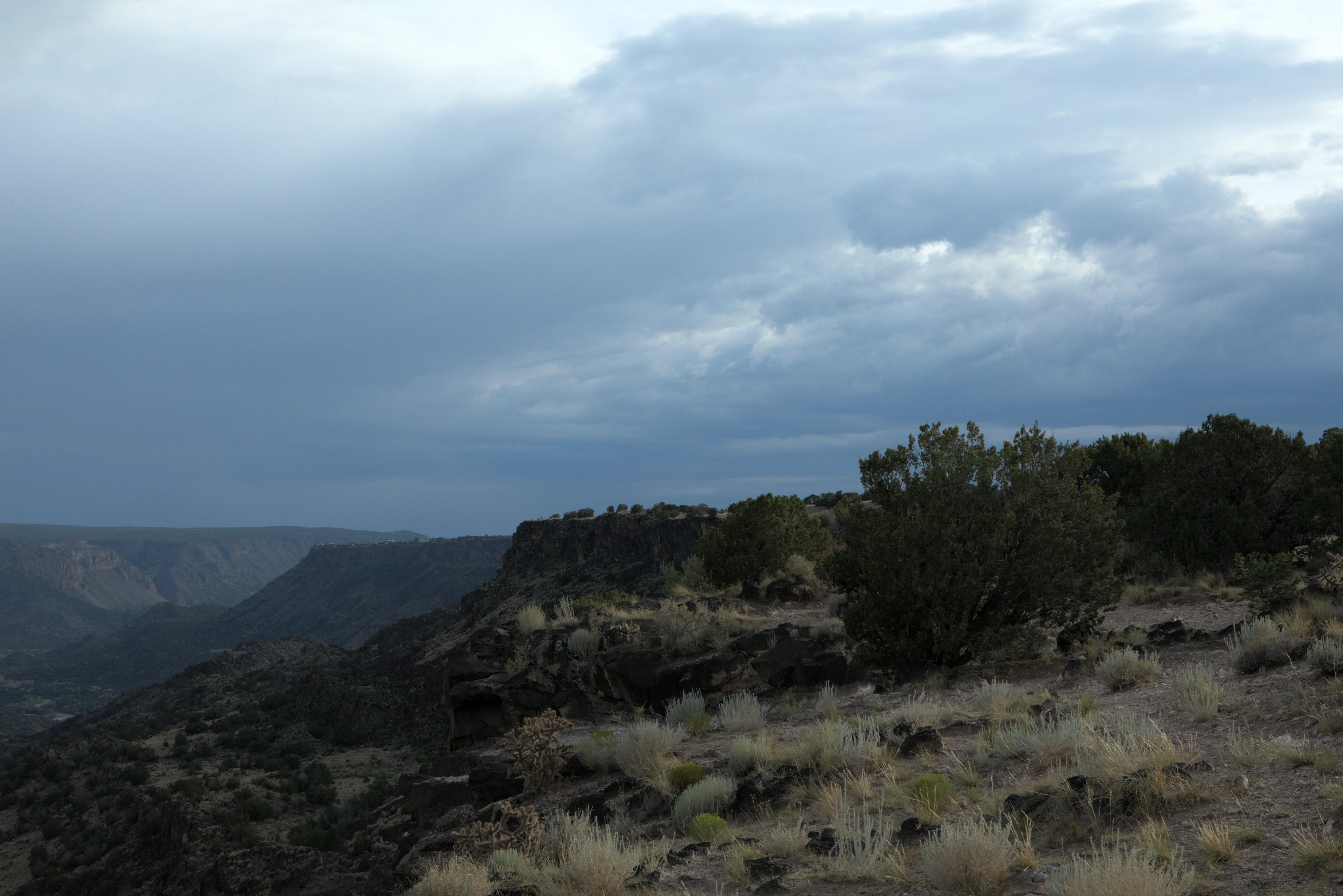 Looking back towards the Blue Dot Trailhead at the White Rock Overlook