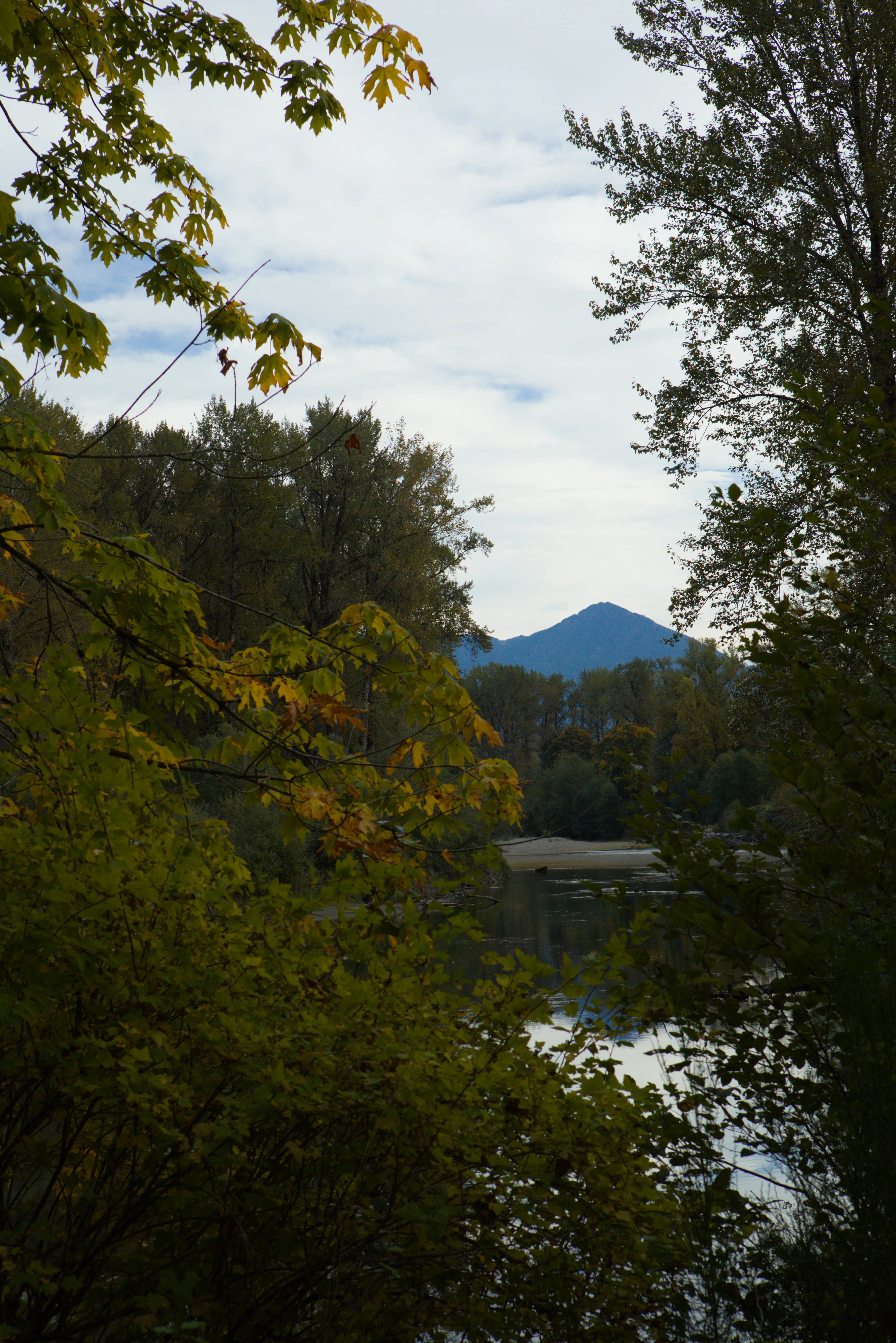 Little Si Peak seen through the trees around Reinig Bridge
