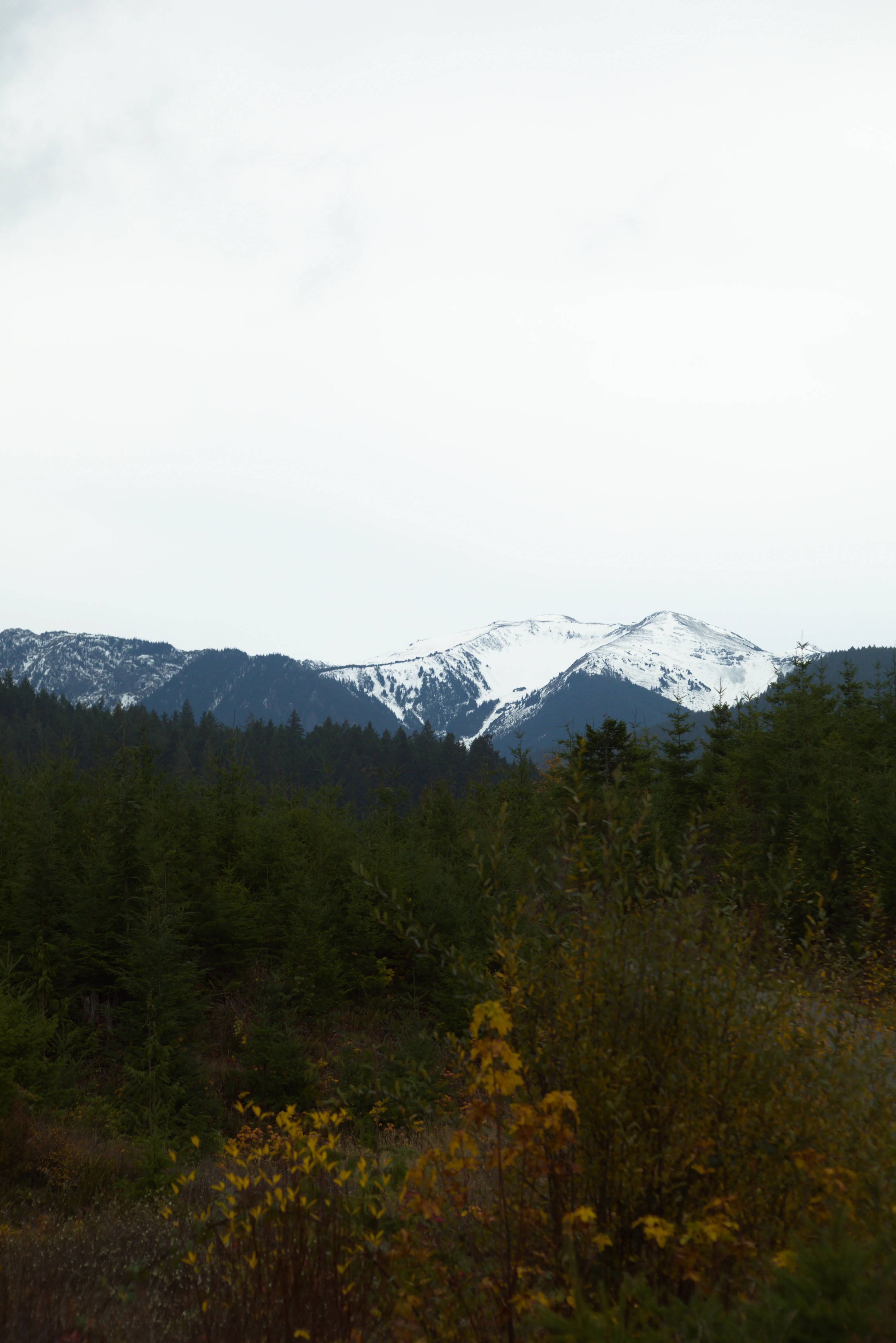Olimpic Mountains seen from the north