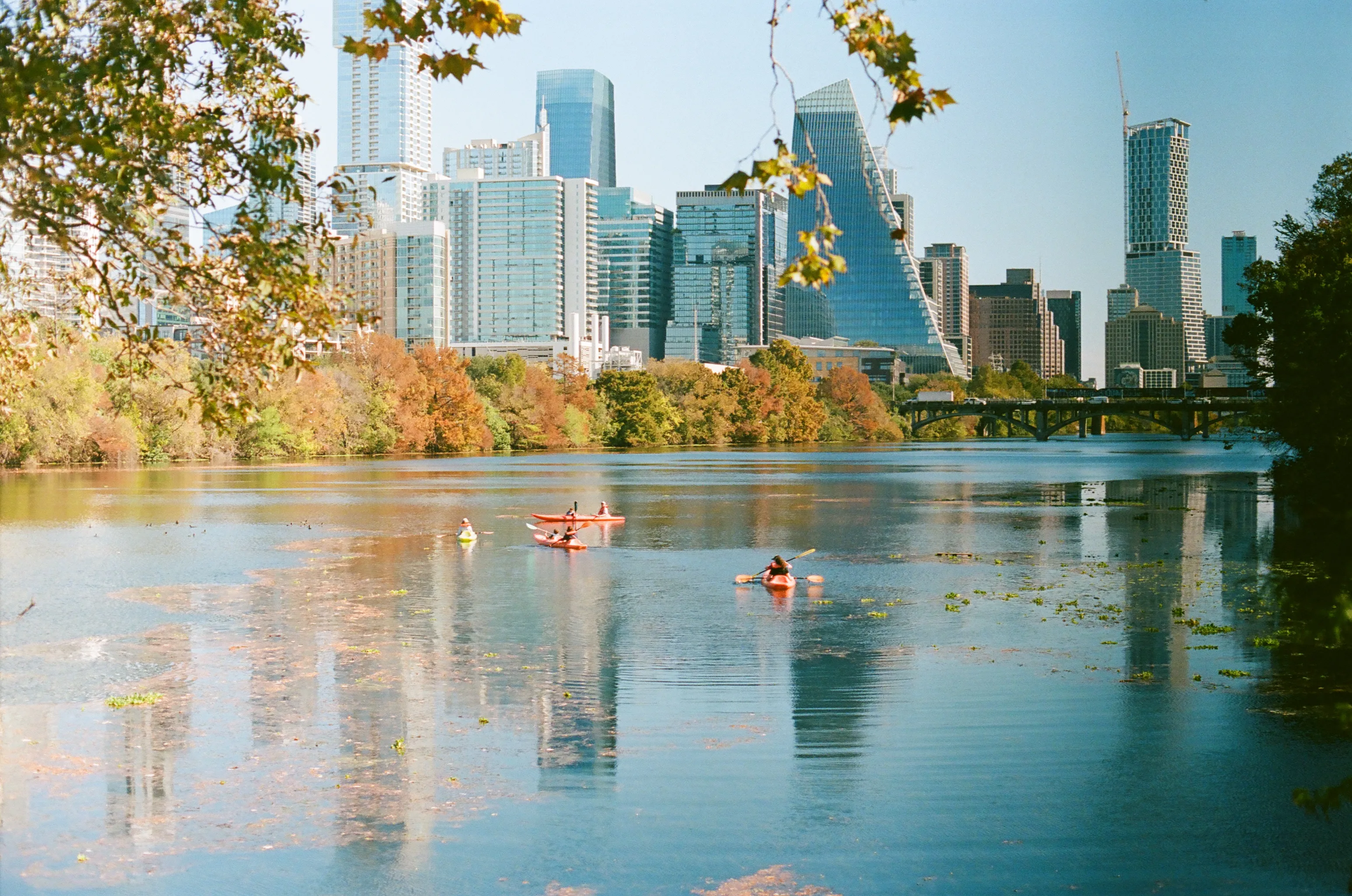 Kayakers in Town Lake, with the Austin skyline behind them