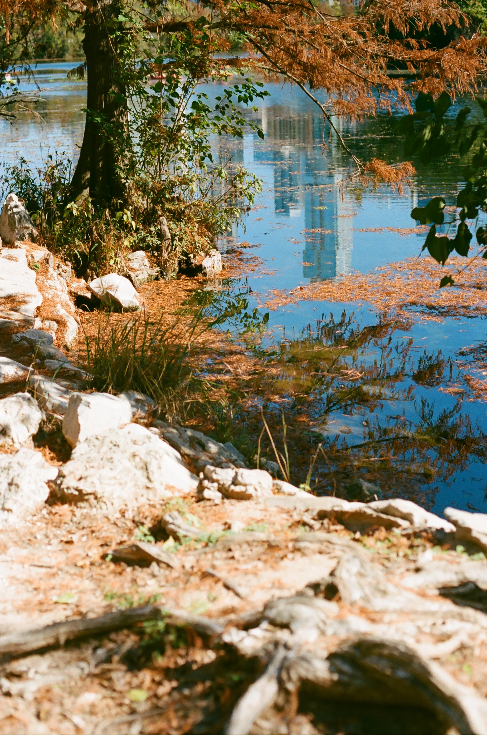 The Austin skyline is reflected in the water of Town Lake