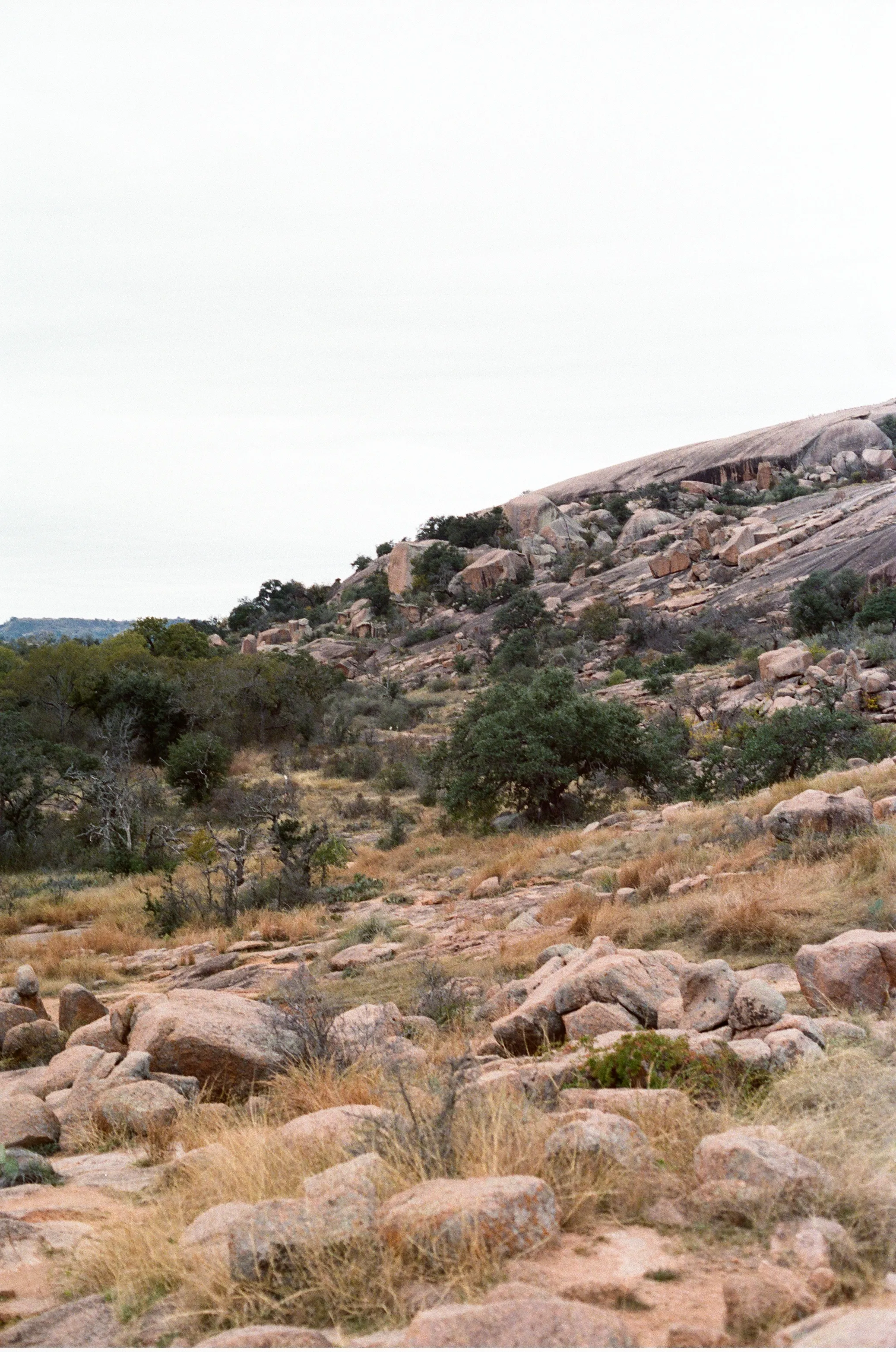 Westward view of trees and boulders at The Enchanted Rock State Park