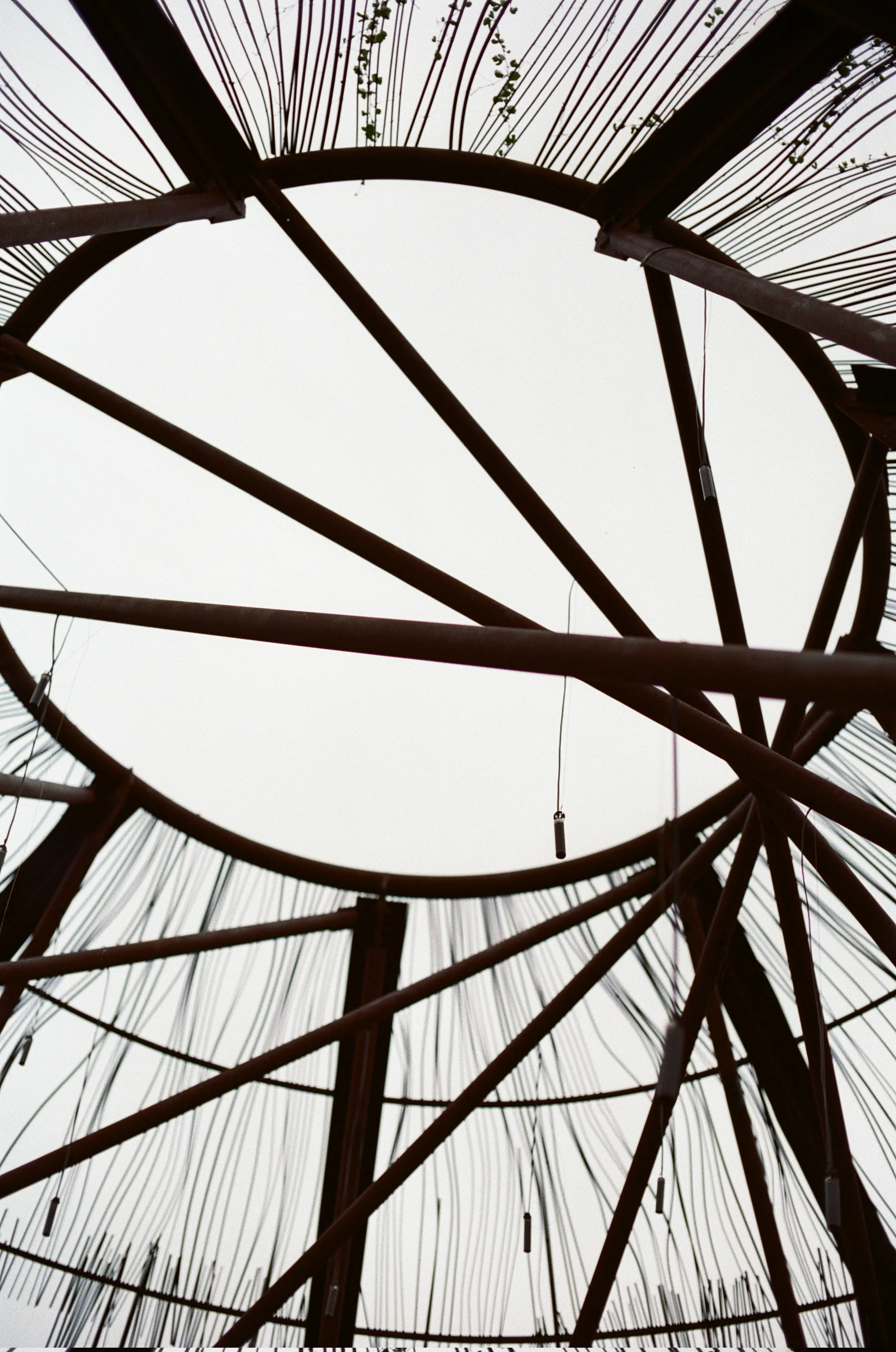 An upward view of the Pease Park treehouse bars, on an overcast day