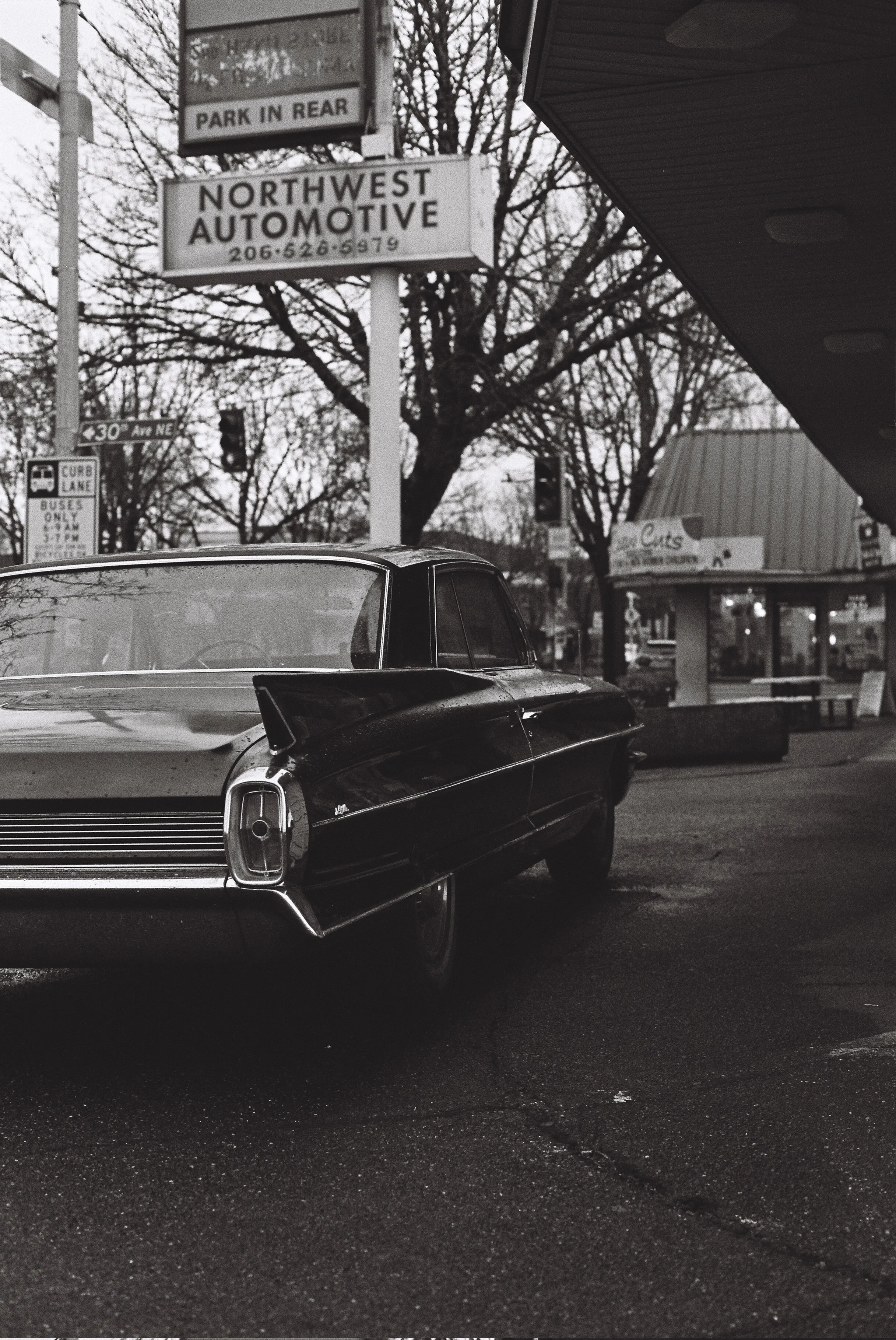 The back quarter of a vintage Cadillac