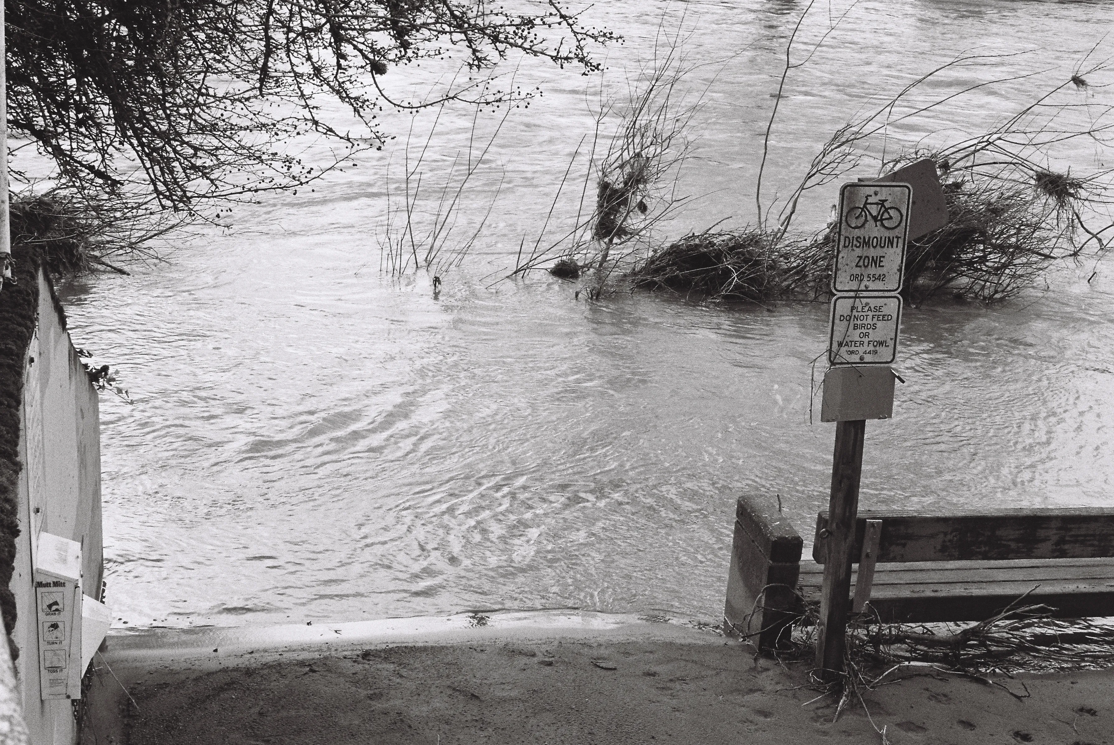 Flooded walkway along the Cedar River, with a sign for bicyclists to dismount