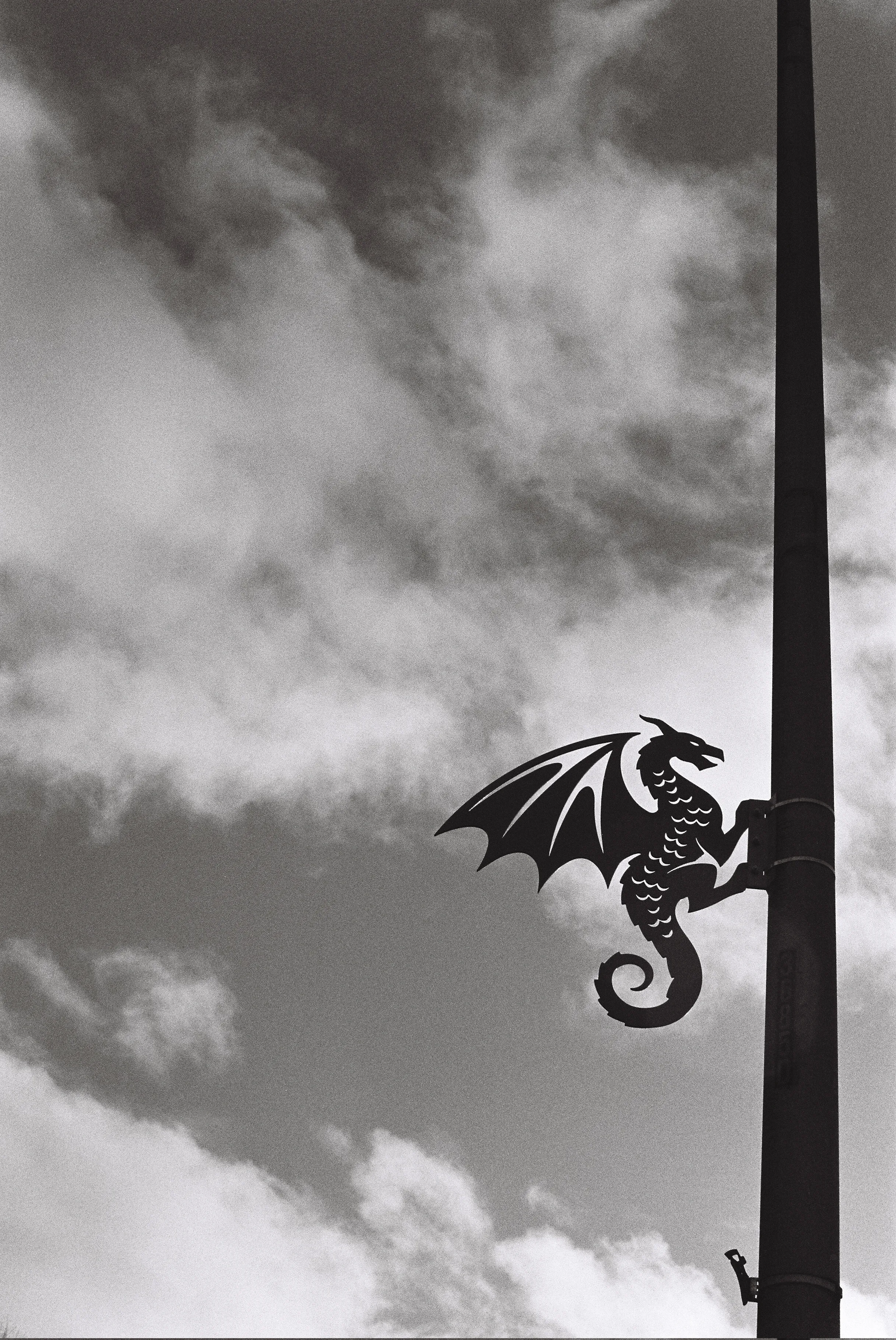 Dragon shaped light post sign