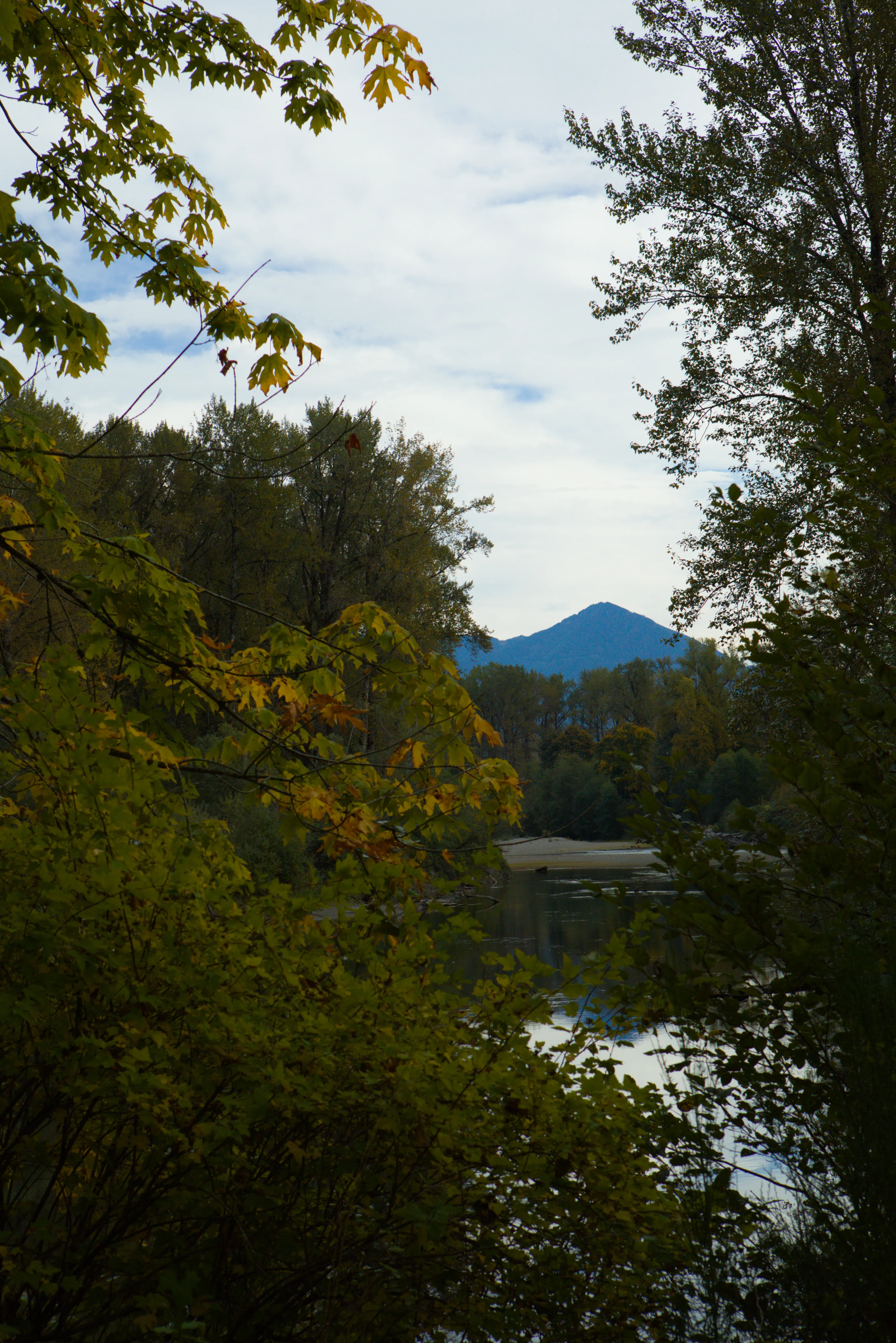 Little Si Peak seen through the trees around Reinig Bridge