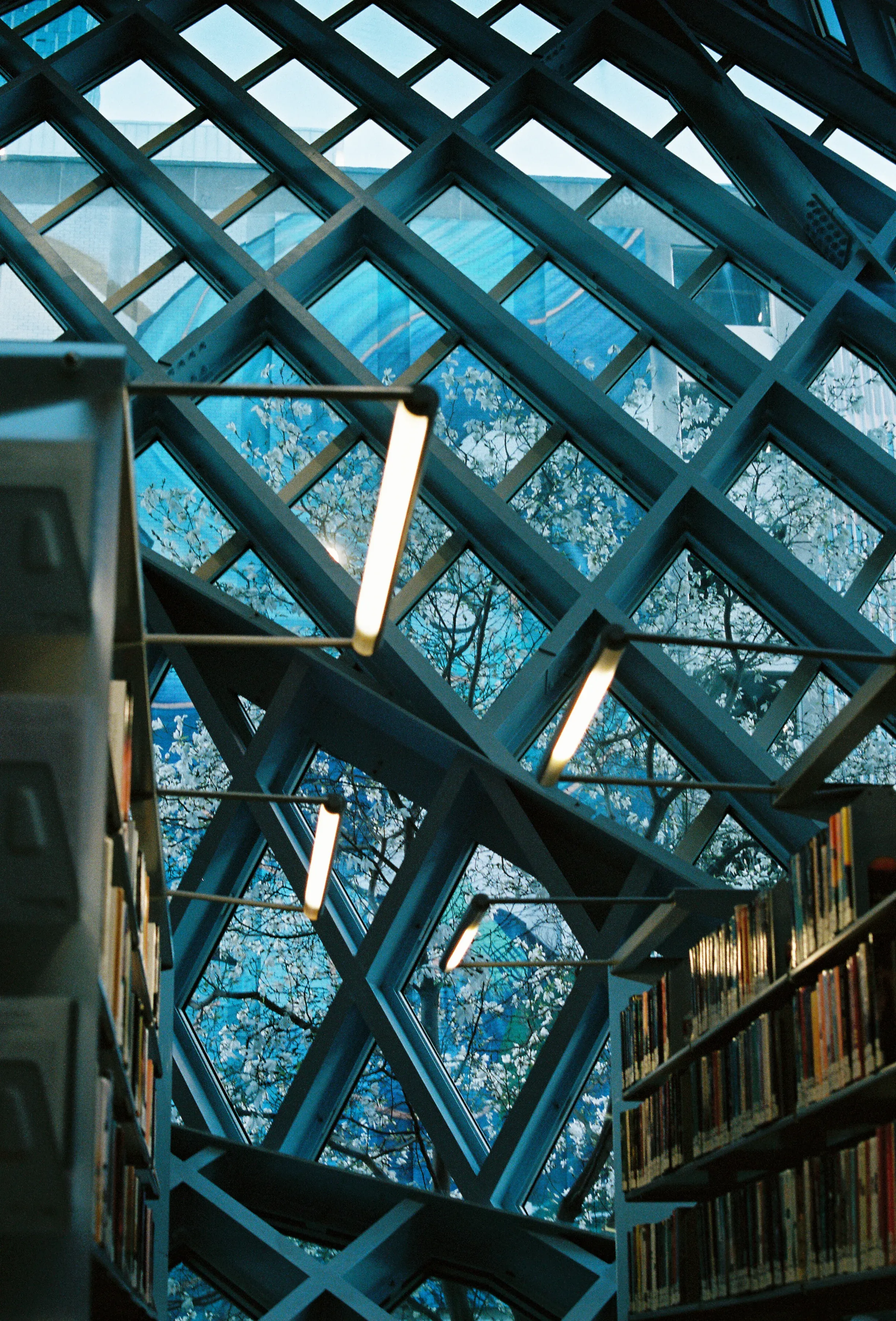 View out of Seattle's Central Library