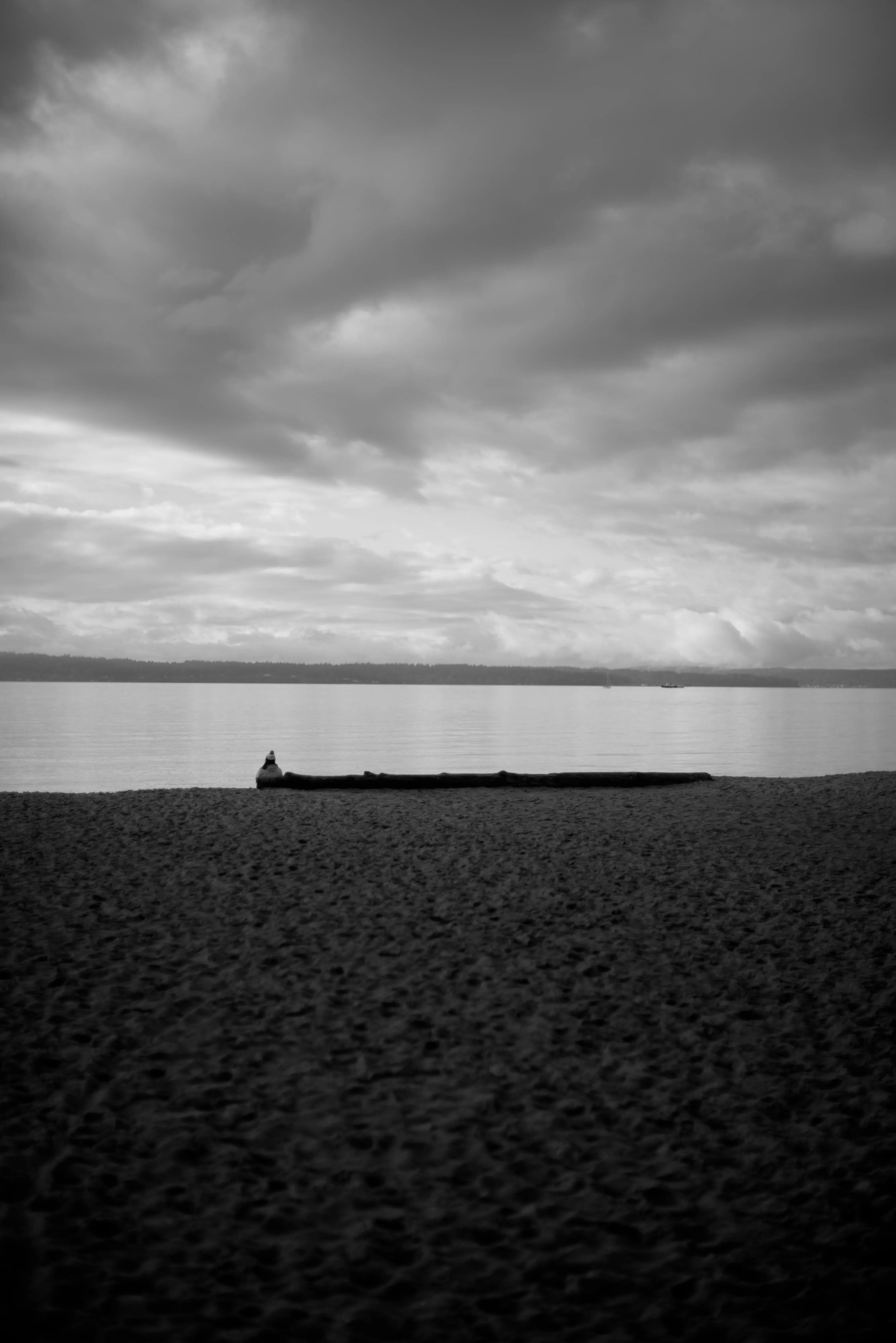 A lone person sits, bundled up, on a log at a Seattle beach