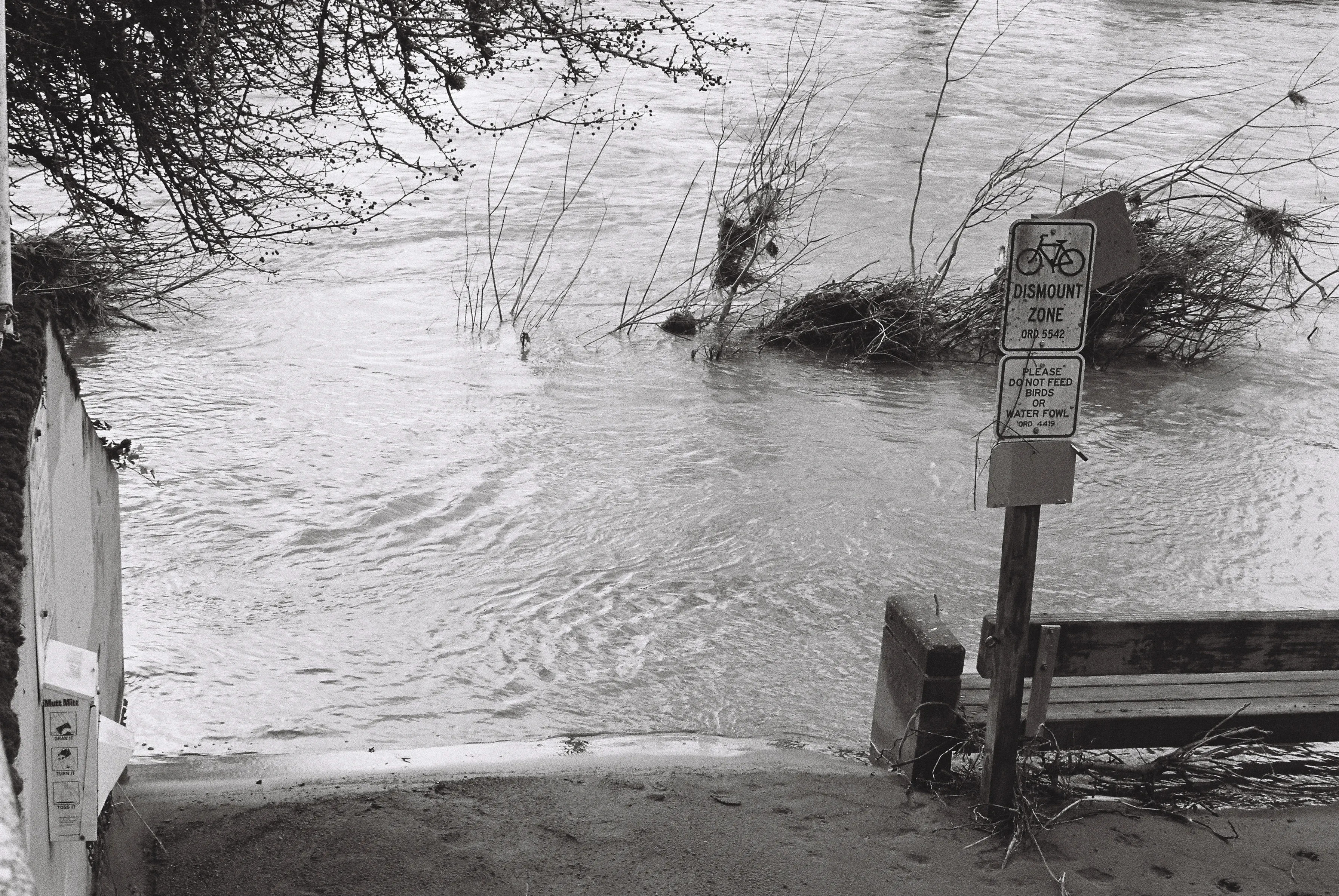 Flooded walkway along the Cedar River, with a sign for bicyclists to dismount
