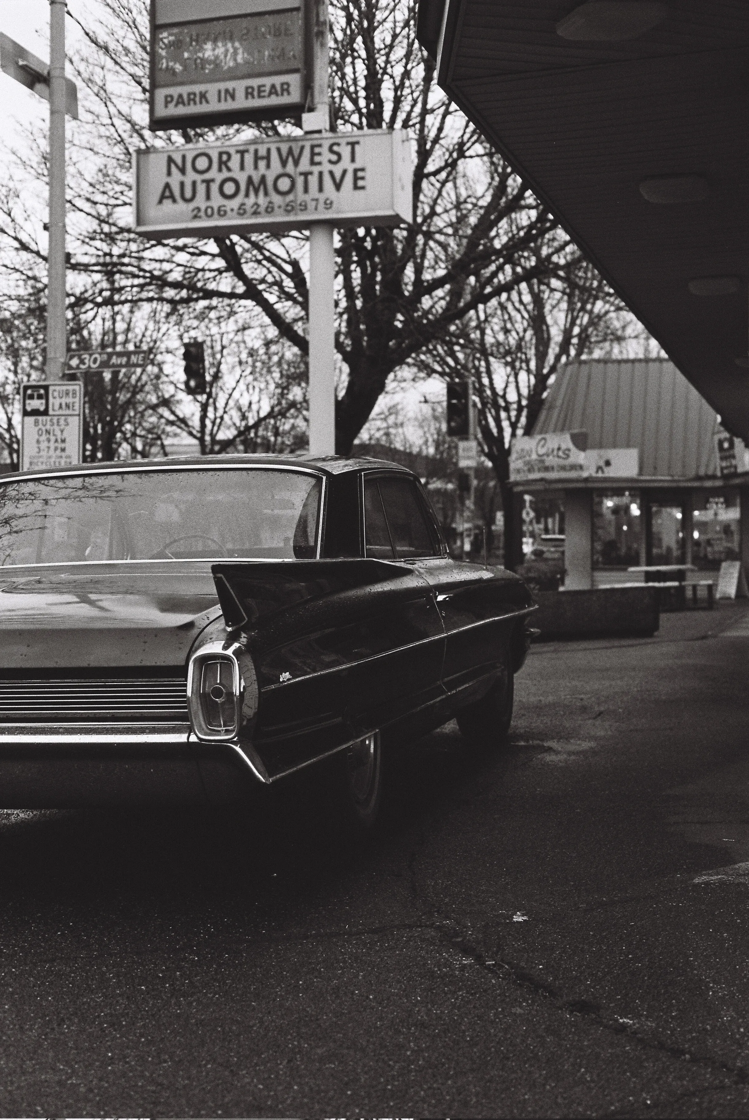 The back quarter of a vintage Cadillac