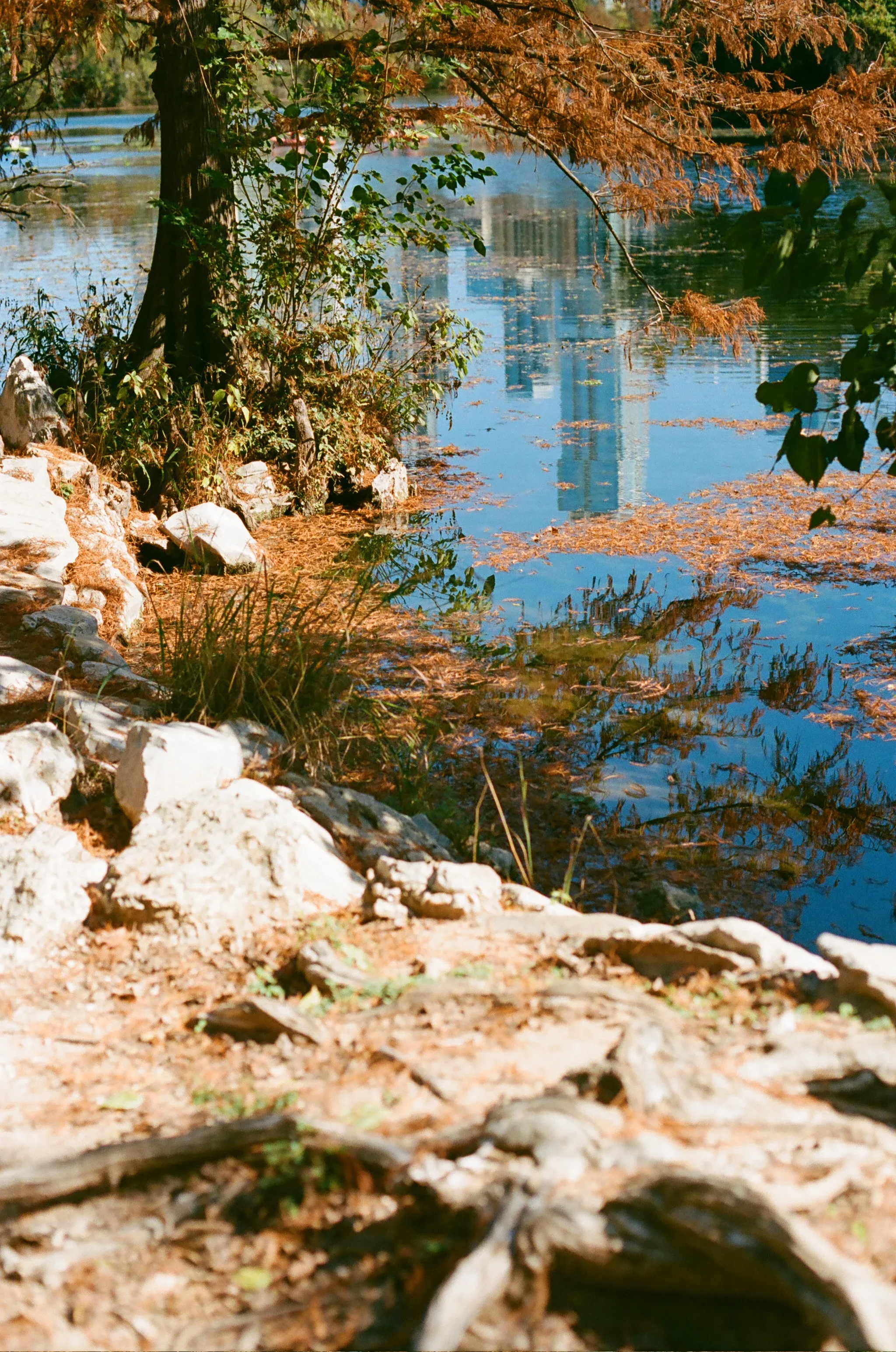 The Austin skyline is reflected in the water of Town Lake