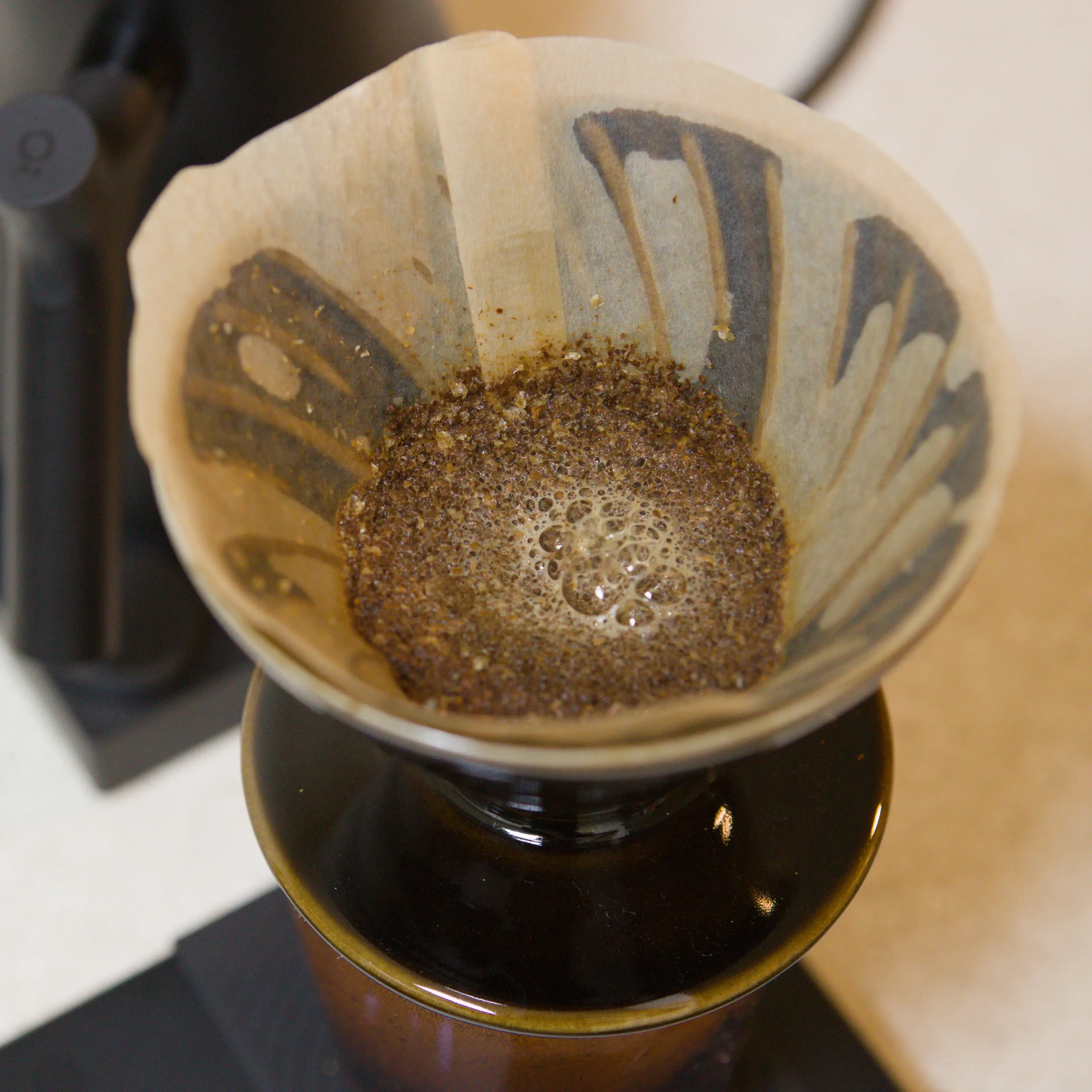 V60 with grounds, durring first bloom